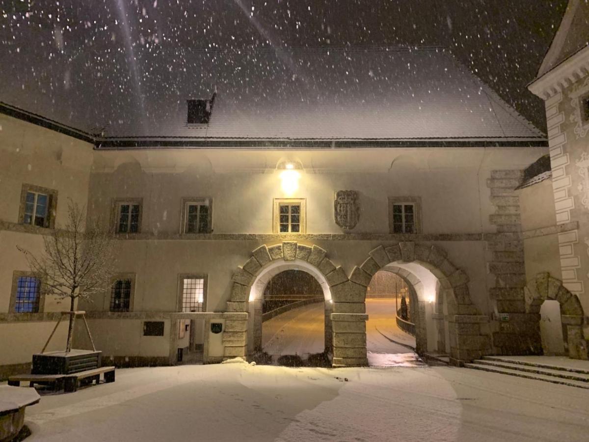 Lovely Flat In A Lovely City Steyr Exteriör bild