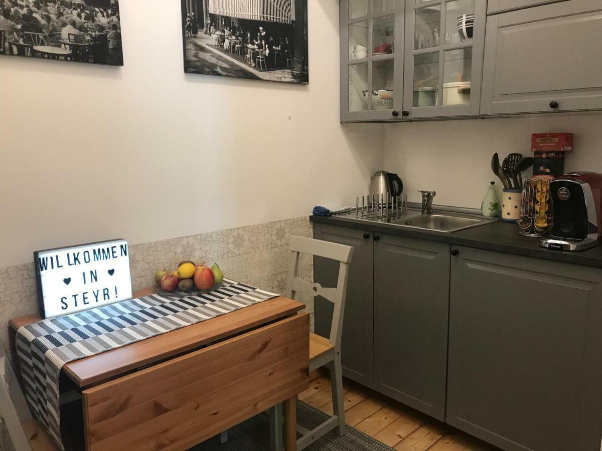 Lovely Flat In A Lovely City Steyr Exteriör bild