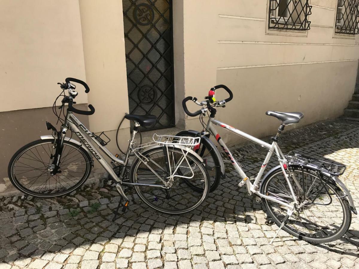 Lovely Flat In A Lovely City Steyr Exteriör bild